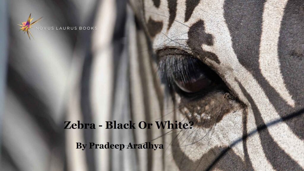 Zebra – Black or White?