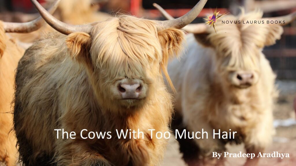 The Cows With Too Much Hair