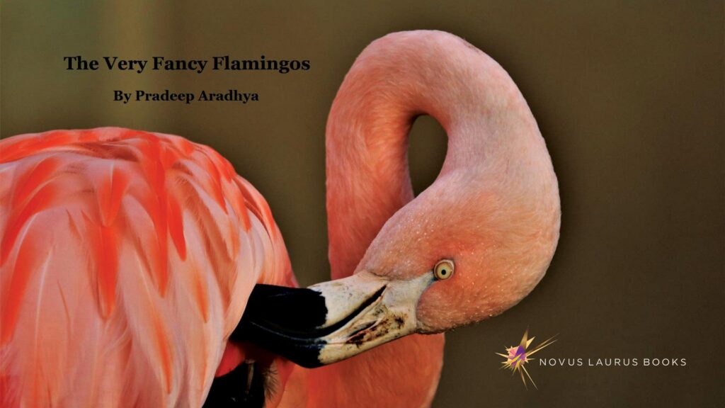 The Very Fancy Flamingos